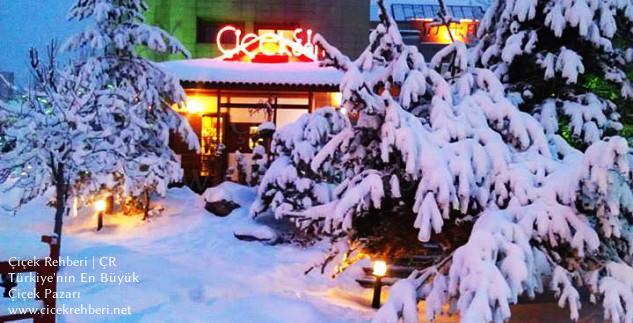 Çiçekçi Kaan Merkez, Ankara, Çankaya fotoğrafları