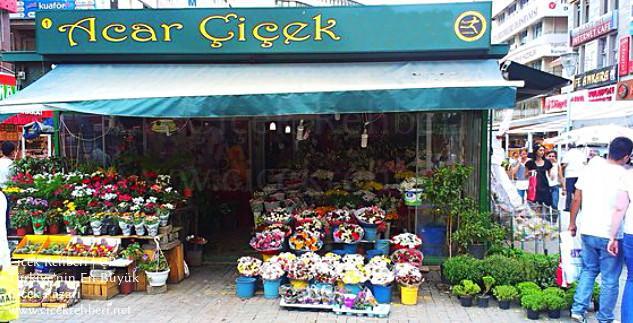 Acar Çiçek Merkez, Ankara, Çankaya fotoğrafları
