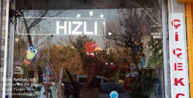Derya Çiçekçilik Merkez, Ankara, Yenimahalle fotoğrafları